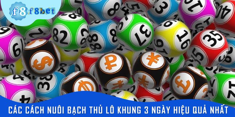 Tổng hợp các cách nuôi bạch thủ lô khung 3 ngày hiệu quả nhất